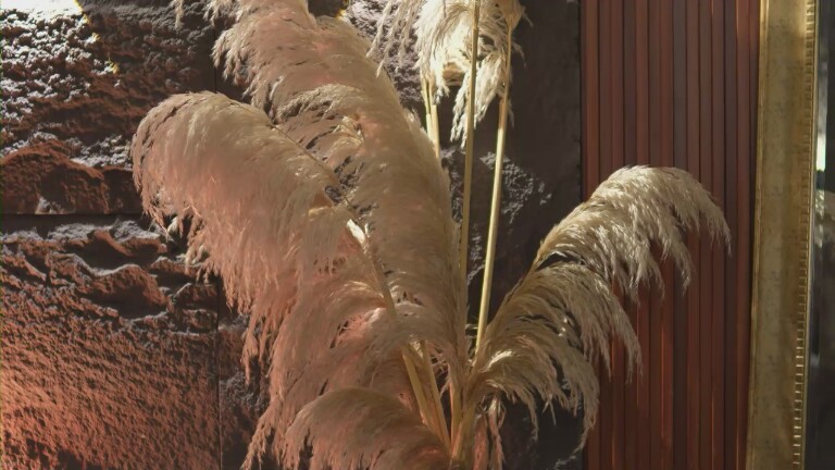 EmaMalkova's Streamate show and profile