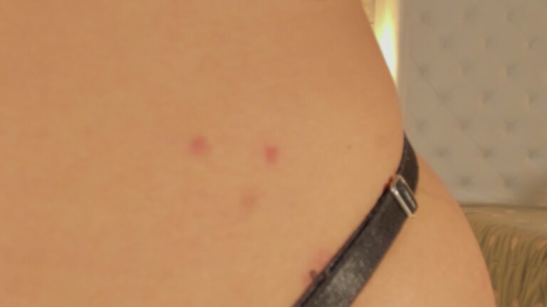 Shehell's Streamate show and profile